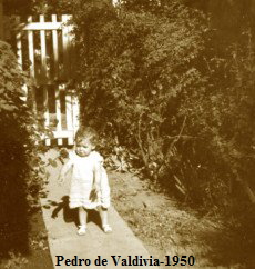Pedro de Valdivia-1950 7