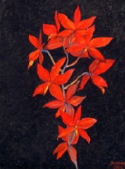 Flores Rojas