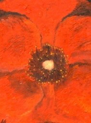 Orange Flower