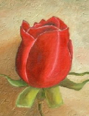 Red Rose