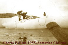 Alberto Polloni-1955-Antrtica Chilena