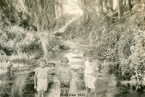 Pea Flor 1931