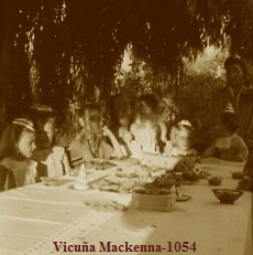 Vicua Mackenna-1054 