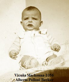 Vicua Mackenna-1056 