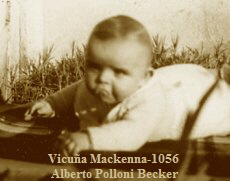 Vicua Mackenna-1056 
