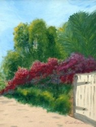 Buganvilias
