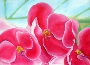 Pink Flowers