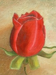 Red Rose
