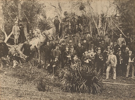 Colonos Alemanes