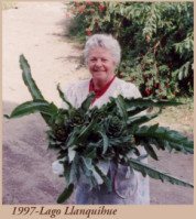 Clina Becker en el Lago Llanquihue